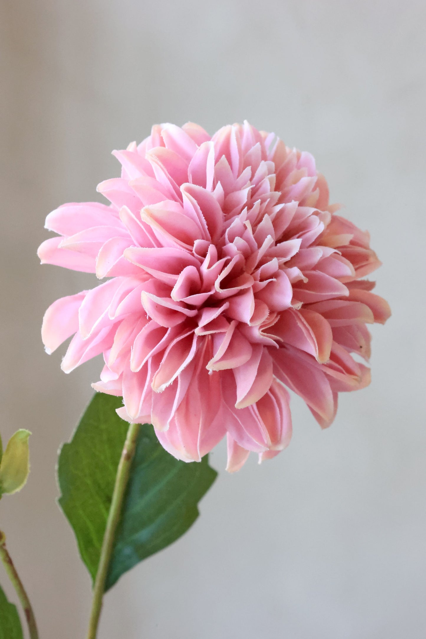 Fleur Dahlia Silk Touch – Kunstig Dahlia Blomst