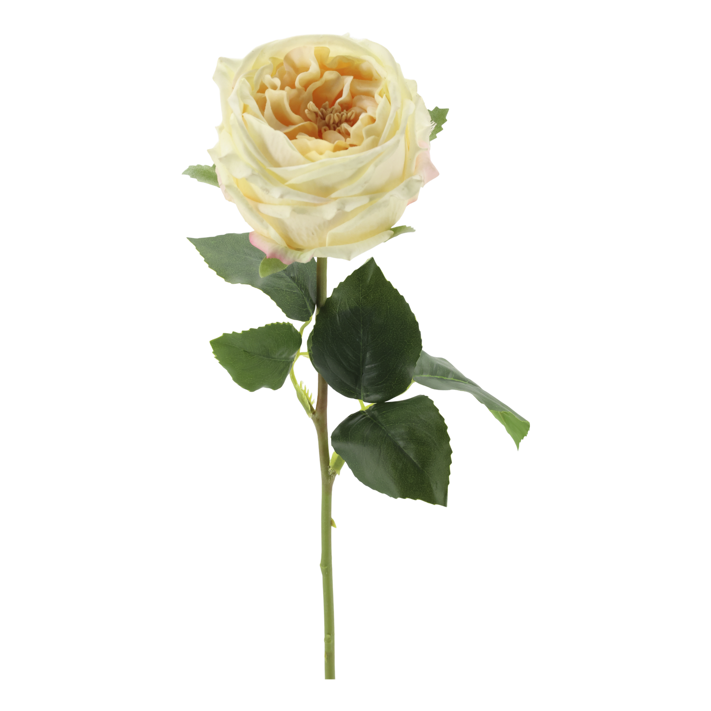 Fleur Rose Silk Touch – Creme kunstig rose
