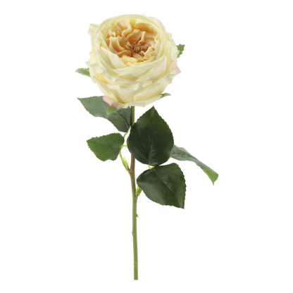Fleur Rose Silk Touch – Creme kunstig rose