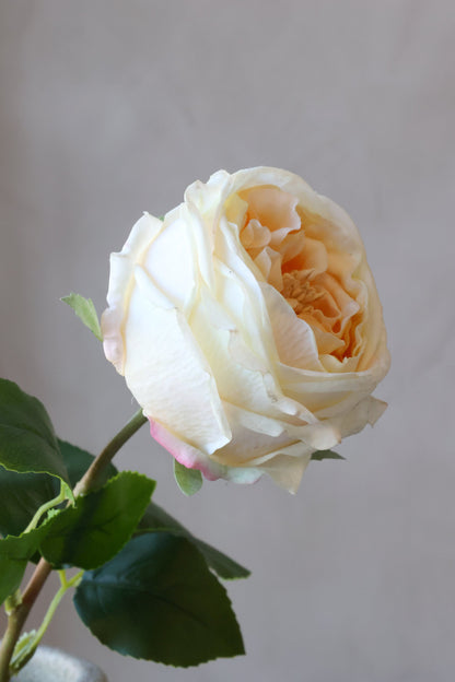 Fleur Rose Silk Touch – Creme kunstig rose