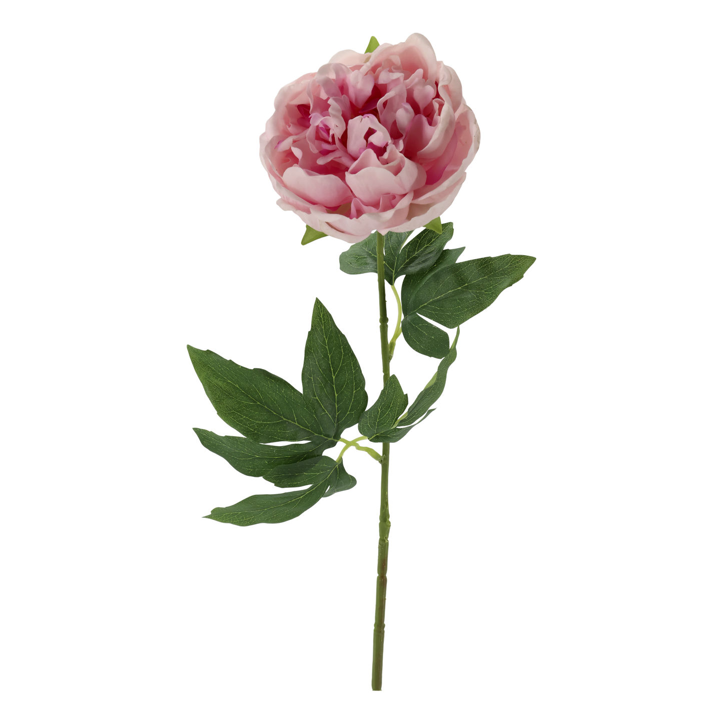 Fleur Pæon Silk Touch – Kunstig Pæon Blomst