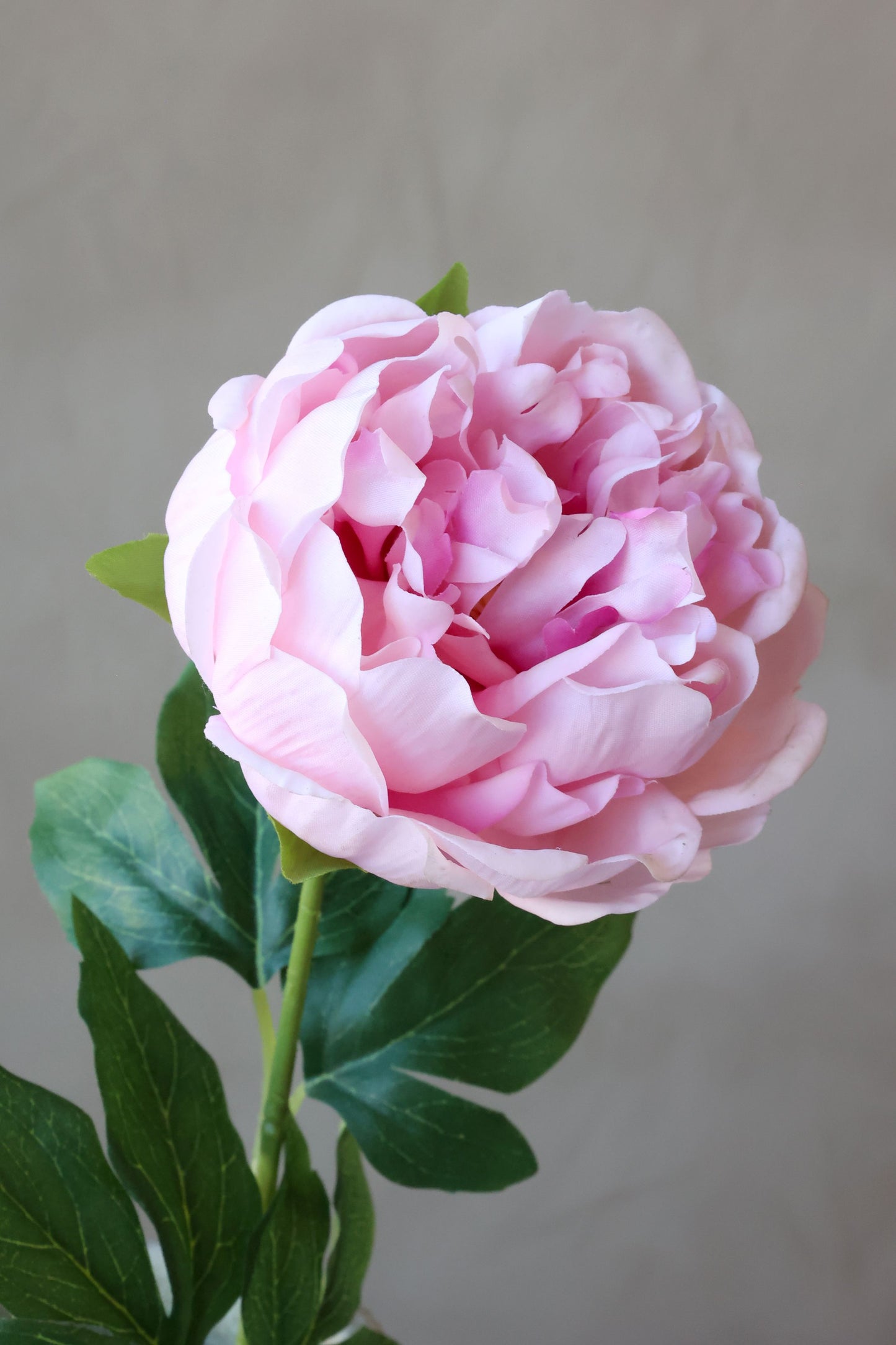 Fleur Pæon Silk Touch – Kunstig Pæon Blomst