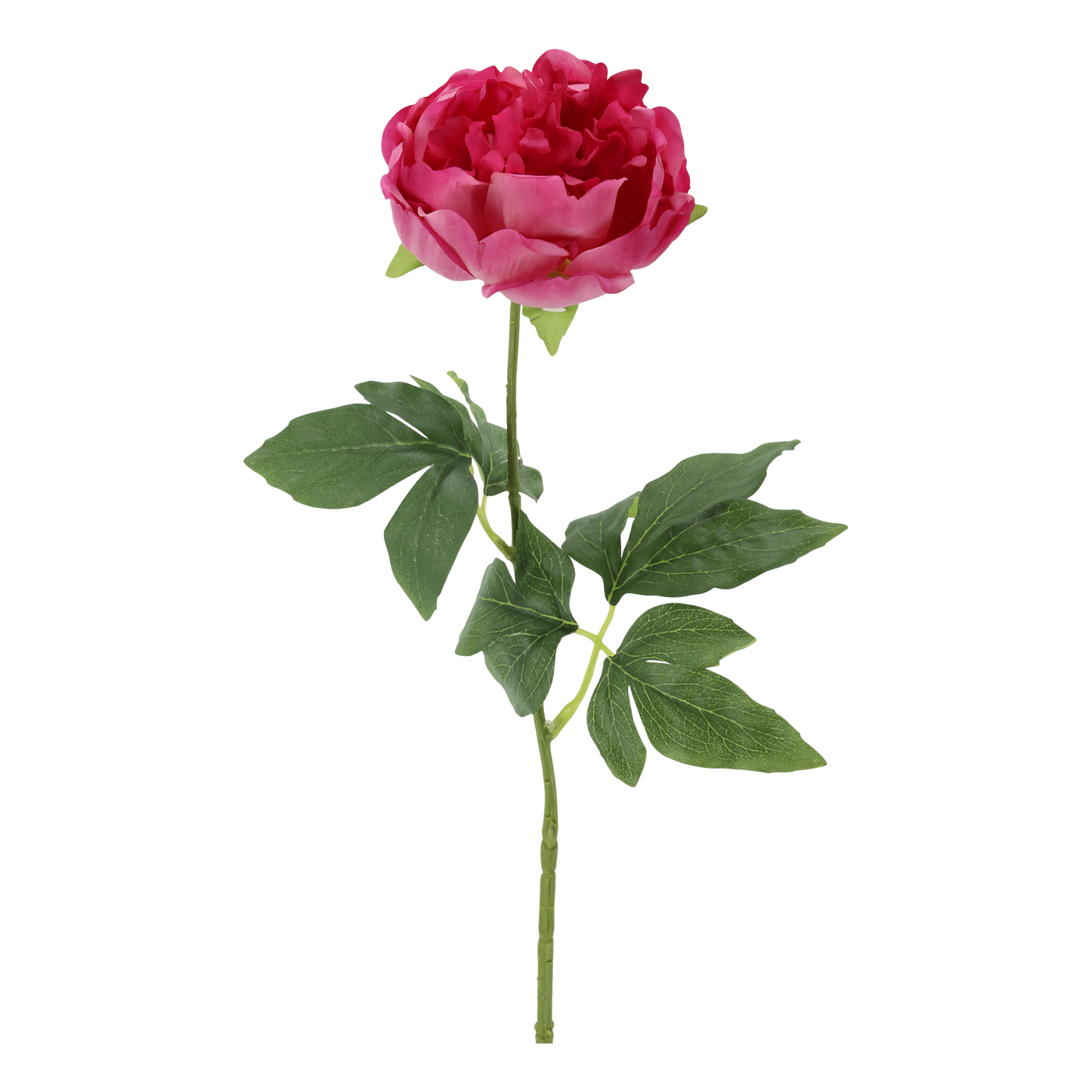 Fleur Pæon Silk Touch – Naturtro kunstig pæon