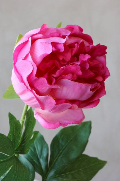 Fleur Pæon Silk Touch – Naturtro kunstig pæon