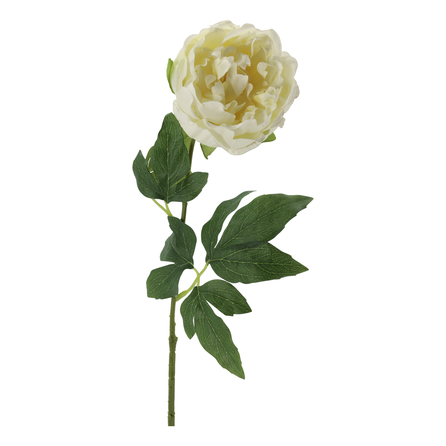Fleur Pæon Silk Touch – Hvid kunstig pæon