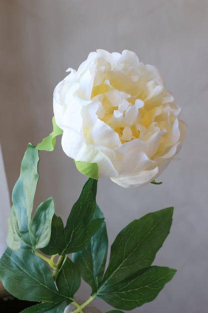 Fleur Pæon Silk Touch – Hvid kunstig pæon
