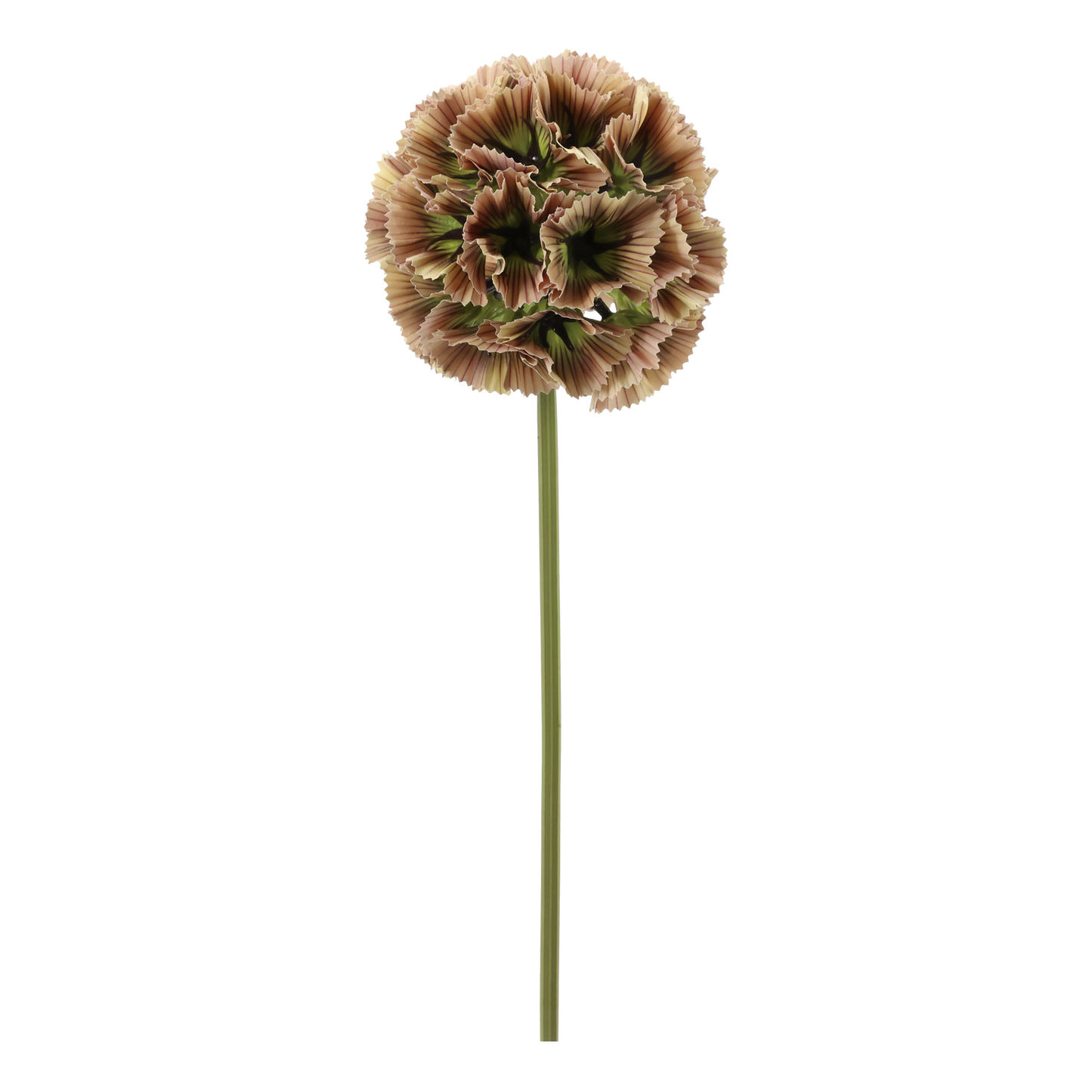 Fleur Stjerneskabiose Dusty Rose – Kunstig Blomst 55 cm