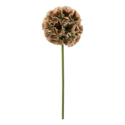 Fleur Stjerneskabiose Dusty Rose – Kunstig Blomst 55 cm
