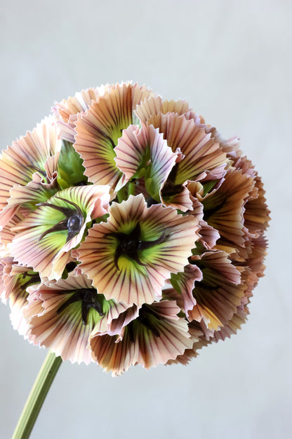Fleur Stjerneskabiose Dusty Rose – Kunstig Blomst 55 cm