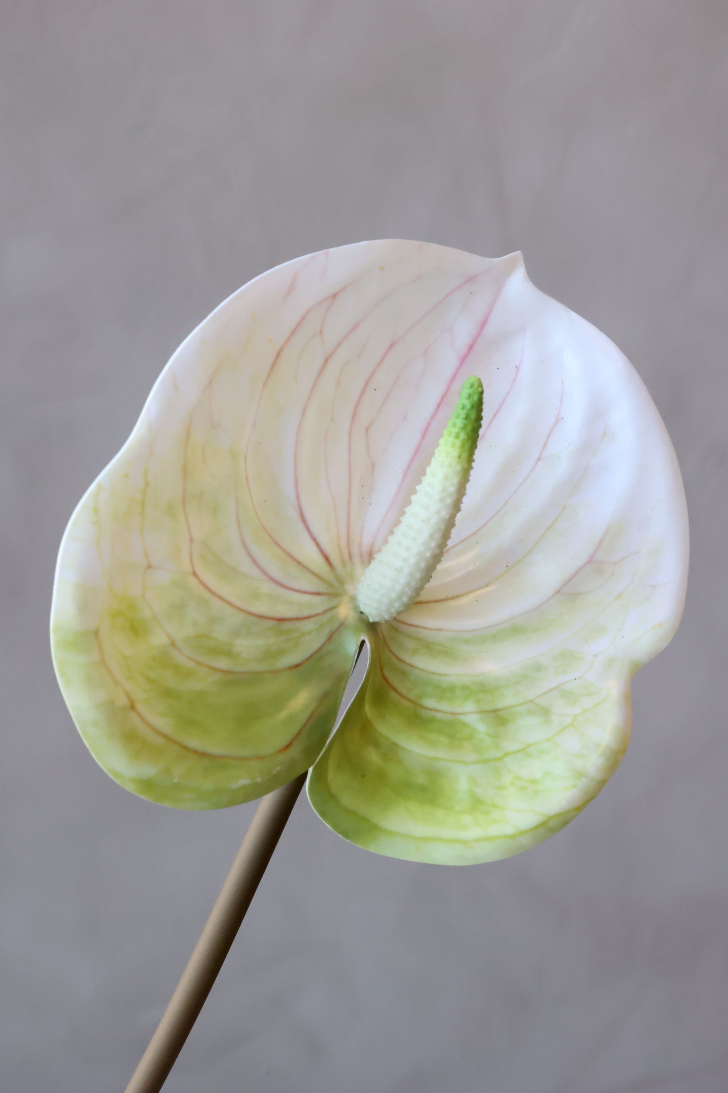 Fleur Flamingo Blomst – Elegant Kunstig Blomst