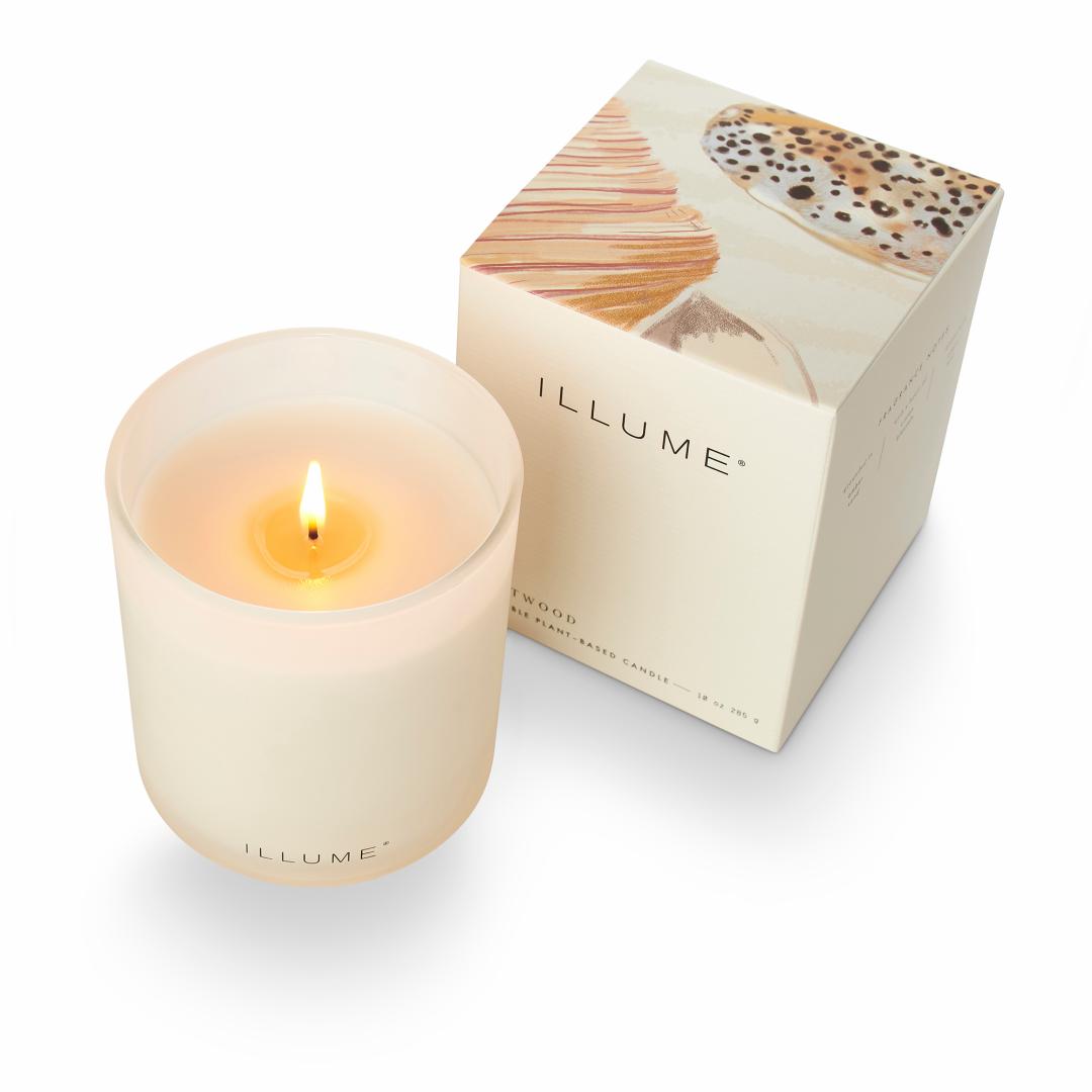 ILLUME Driftwood Box Duftlys i Glas 285 g Hvid