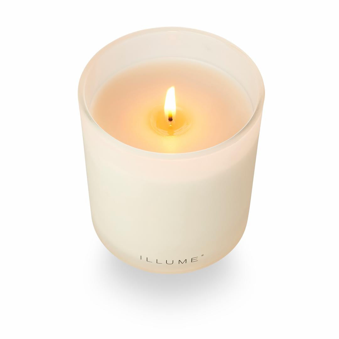 ILLUME Driftwood Box Duftlys i Glas 285 g Hvid