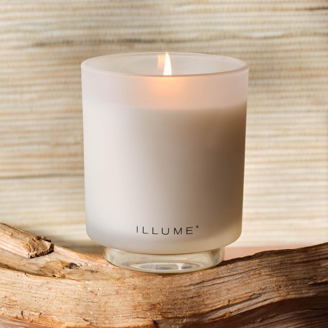 ILLUME Driftwood Box Duftlys i Glas 285 g Hvid