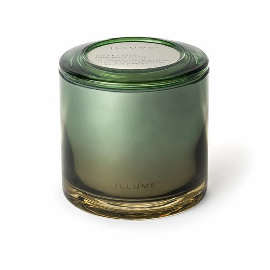 ILLUME Hinoki Sage Duftlys i Glas 590 g Grøn