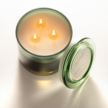 ILLUME Hinoki Sage Duftlys i Glas 590 g Grøn