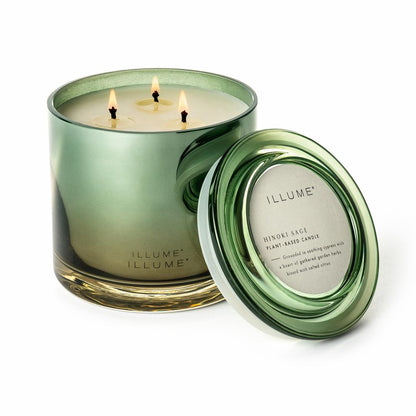 ILLUME Hinoki Sage Duftlys i Glas 590 g Grøn