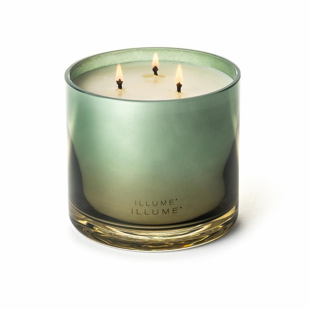 ILLUME Hinoki Sage Duftlys i Glas 590 g Grøn