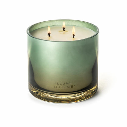 ILLUME Hinoki Sage Duftlys i Glas 590 g Grøn