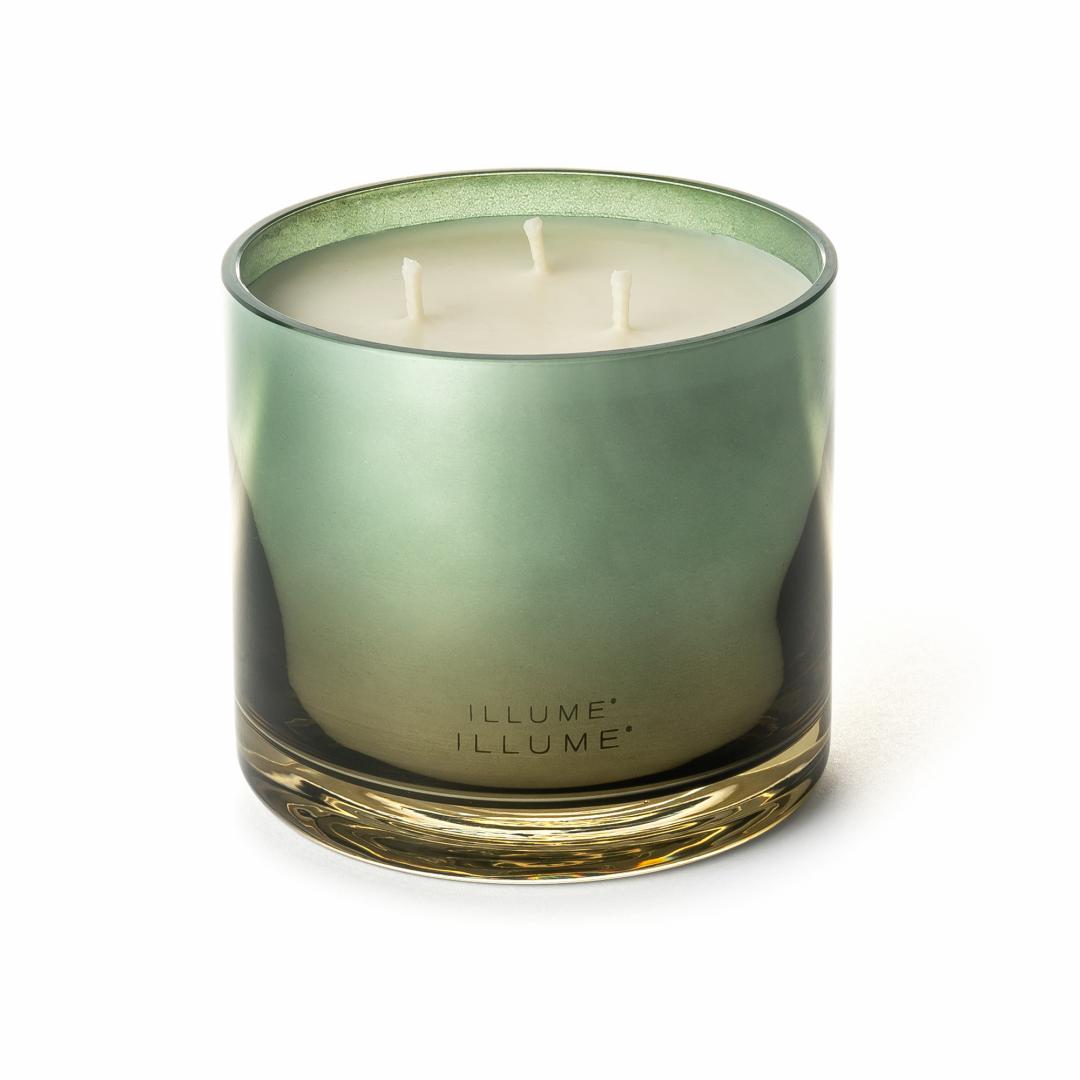 ILLUME Hinoki Sage Duftlys i Glas 590 g Grøn