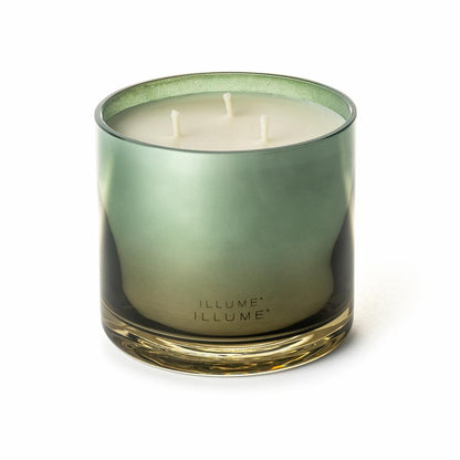 ILLUME Hinoki Sage Duftlys i Glas 590 g Grøn
