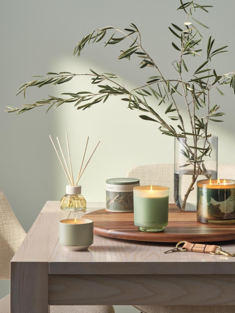 ILLUME Hinoki Sage Duftlys i Glas 590 g Grøn