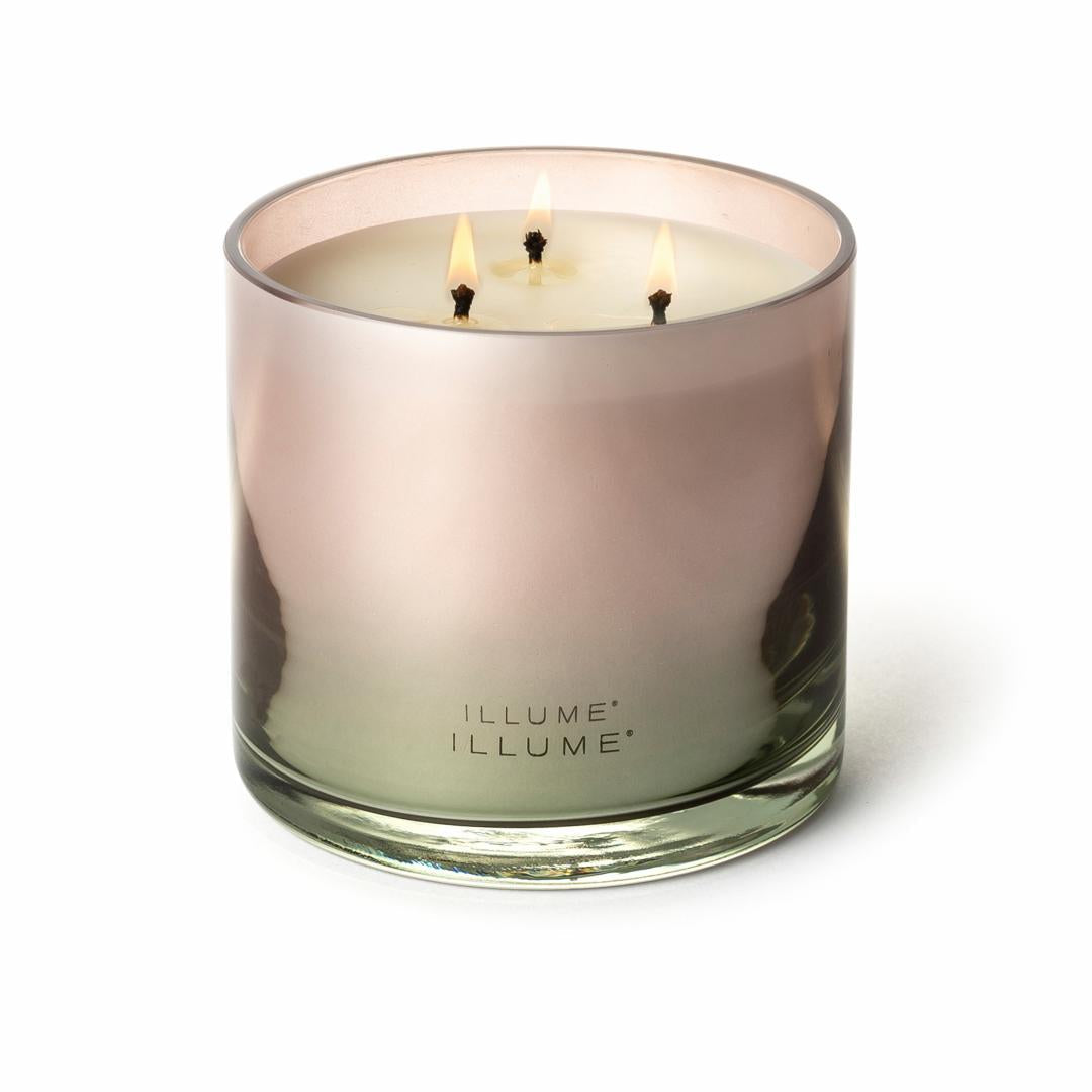 ILLUME Coconut Milk Mango Duftlys i Glas 590 g