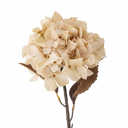 Bloomingville Kunstig Hortensia Stilk Natur 65 cm