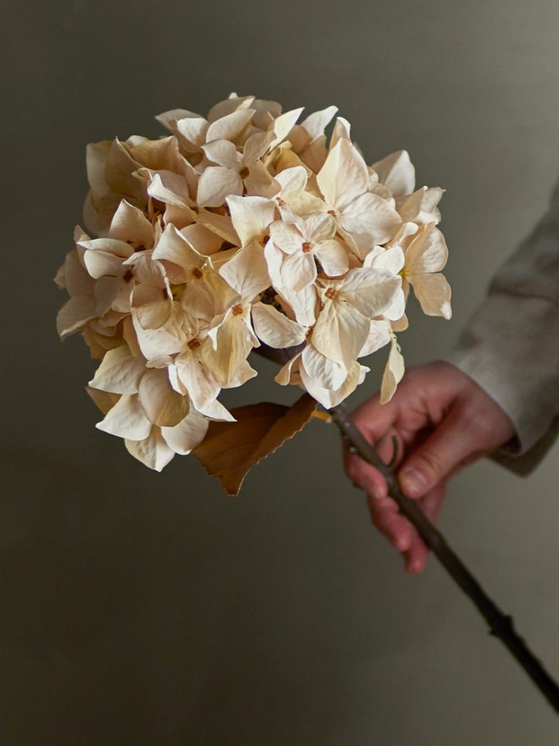 Bloomingville Kunstig Hortensia Stilk Natur 65 cm