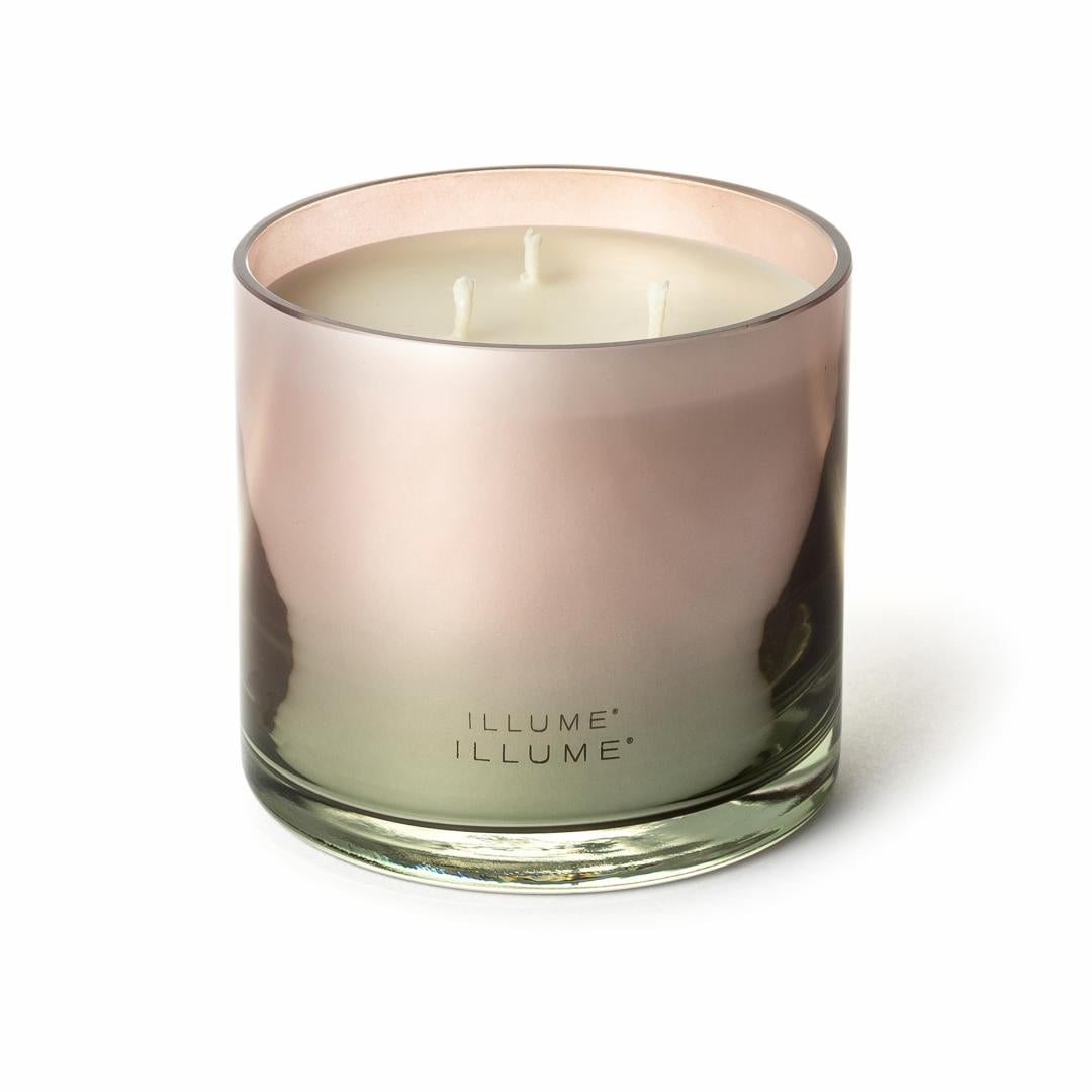 ILLUME Coconut Milk Mango Duftlys i Glas 590 g